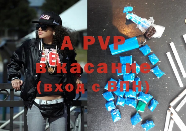 твердый Аркадак