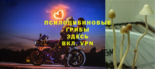 марки lsd Армянск