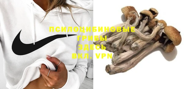 твердый Аркадак