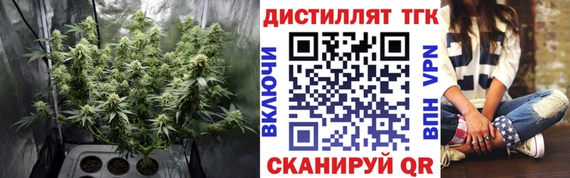 ТГК THC oil  Строитель 