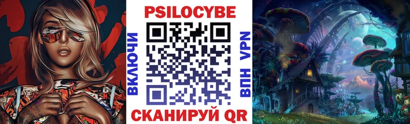 Галлюциногенные грибы Cubensis Строитель