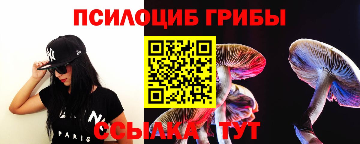 Строитель  даркнет сайт  Вход с VPN  Псилоцибиновые грибы Psilocybine cubensis 